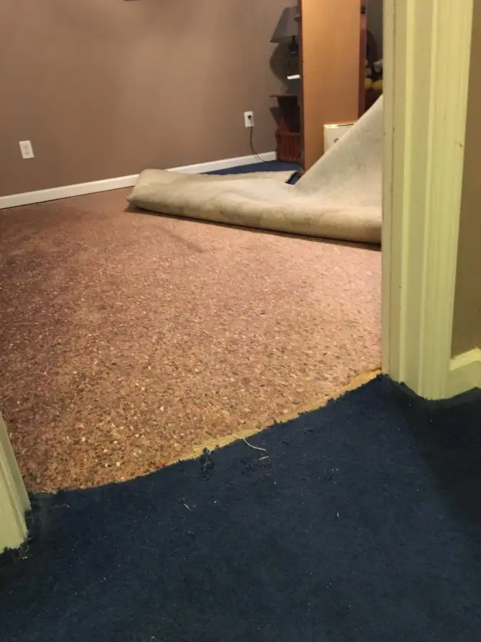 Carpet pad removal revealing water damage during Water Mitigation Services in Olathe