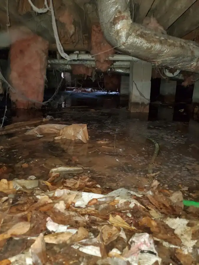 Crawl space flood assessment for Leak Detection & Repair in Olathe